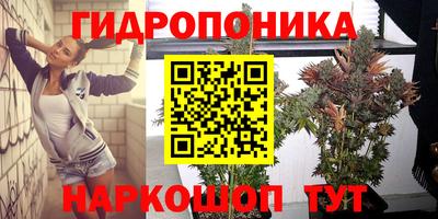 прущий лед Аша